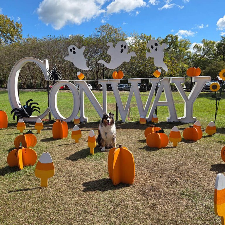 Large white "Conway" letters with ghost decorations and pumpkins on a grassy field.